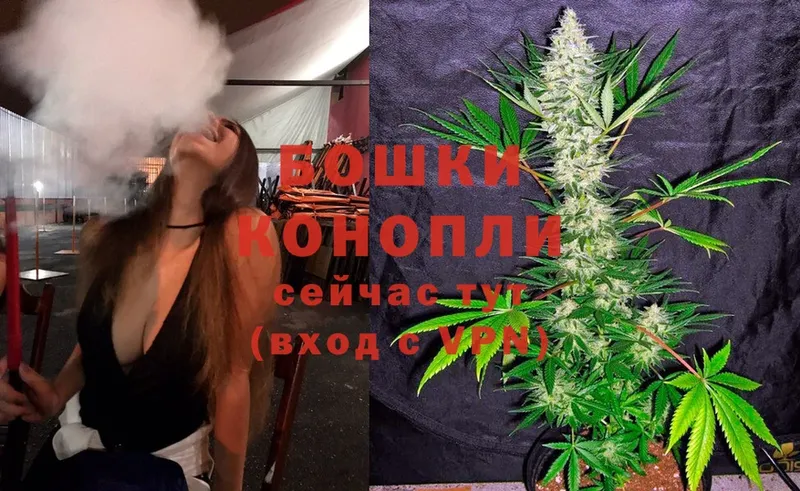 закладки  Нелидово  Бошки марихуана LSD WEED 